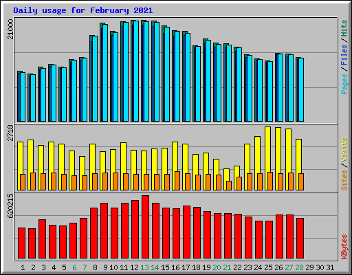 Daily usage for February 2021