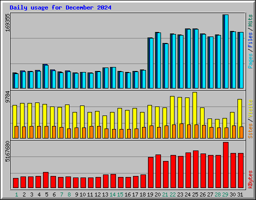 Daily usage for December 2024
