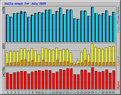Daily usage for July 2025
