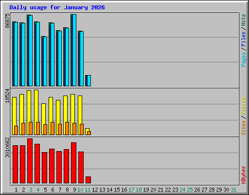 Daily usage for January 2026