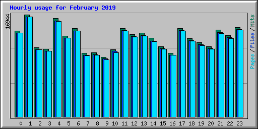 Hourly usage for February 2019