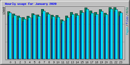 Hourly usage for January 2020