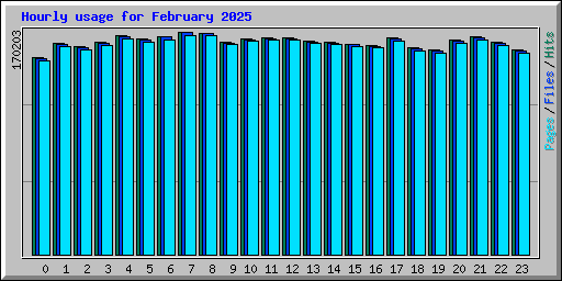 Hourly usage for February 2025