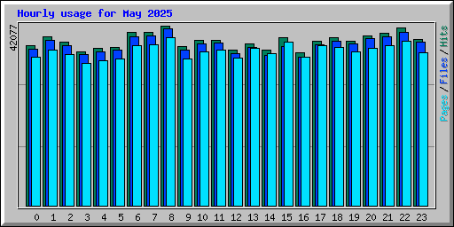 Hourly usage for May 2025
