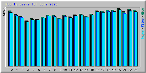 Hourly usage for June 2025