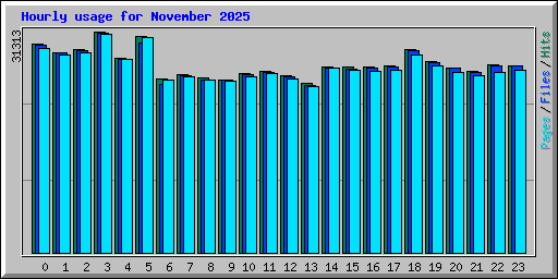 Hourly usage for November 2025