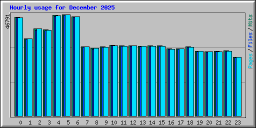 Hourly usage for December 2025