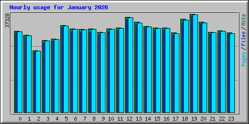 Hourly usage for January 2026